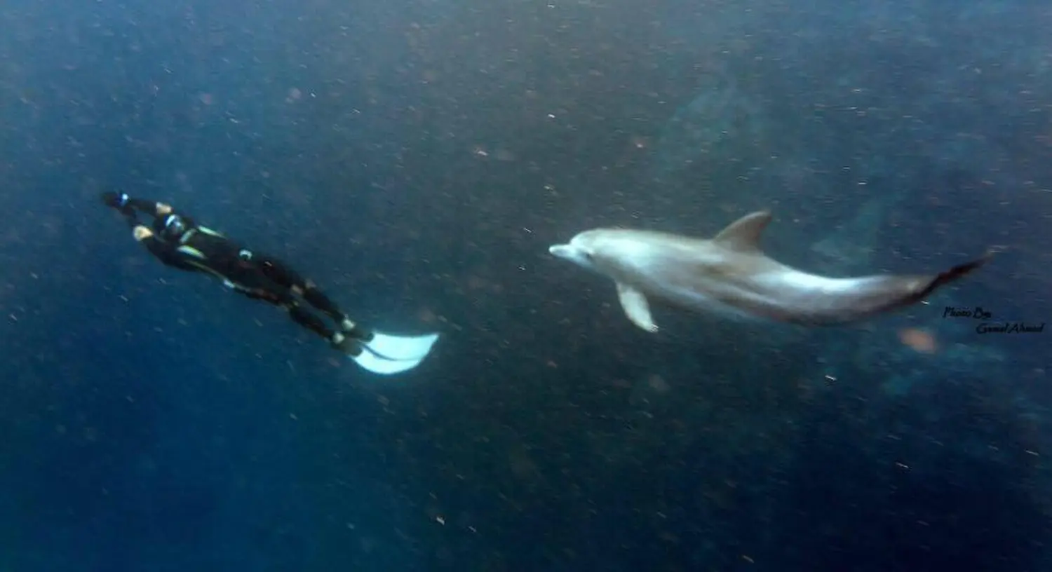 Ein Junge übt Unterwassertauchen bei der Freediving-School Pinguin